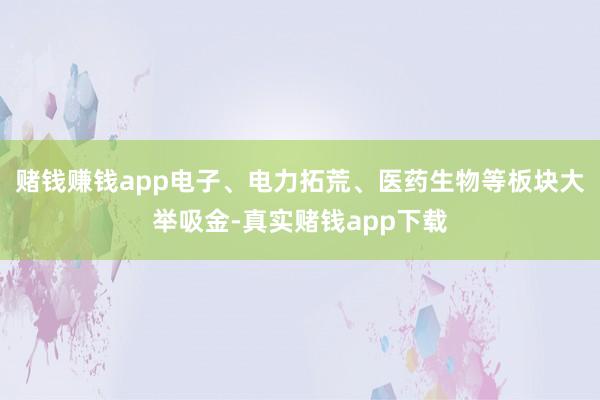 赌钱赚钱app电子、电力拓荒、医药生物等板块大举吸金-真实赌钱app下载