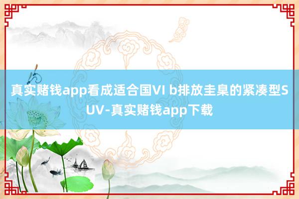 真实赌钱app看成适合国VI b排放圭臬的紧凑型SUV-真实赌钱app下载