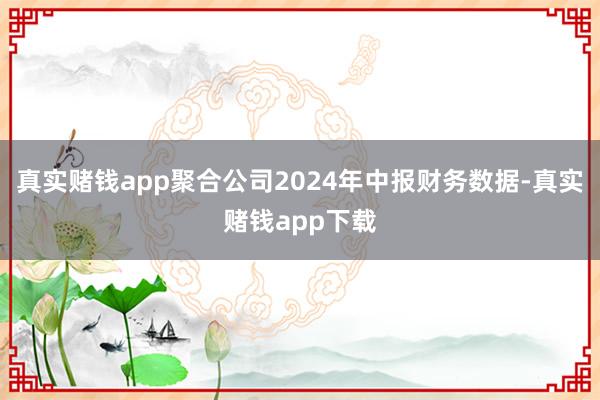 真实赌钱app聚合公司2024年中报财务数据-真实赌钱app下载