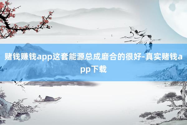 赌钱赚钱app这套能源总成磨合的很好-真实赌钱app下载