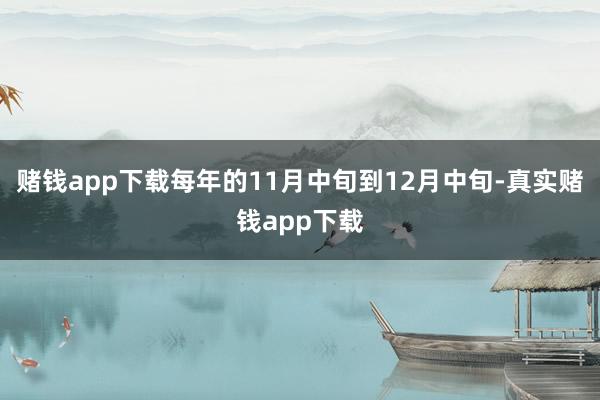 赌钱app下载每年的11月中旬到12月中旬-真实赌钱app下载